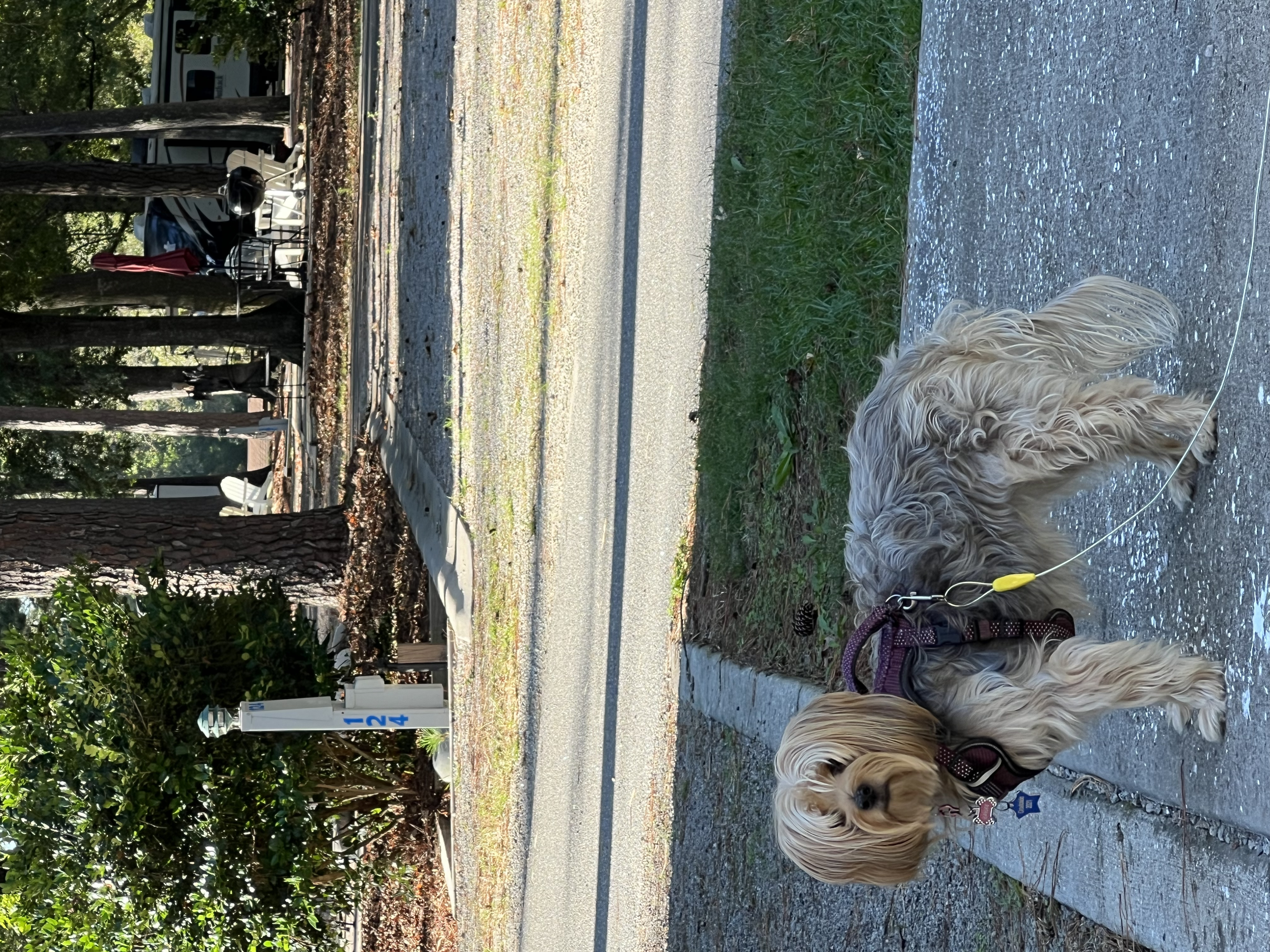 ./2024/10 - Myrtle Beach/IMG_3349.jpg